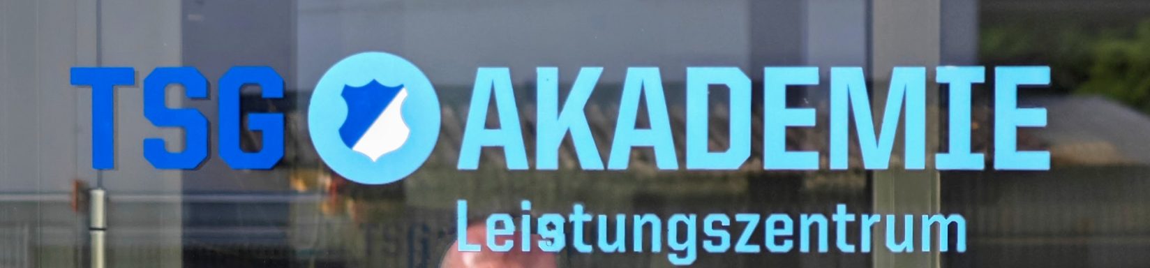 Hospitation in Hoffenheim